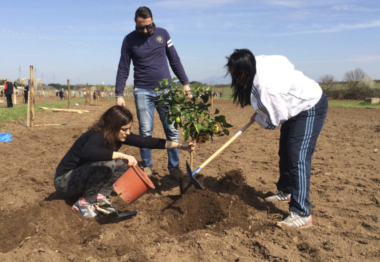 Farmer Rossella Paolini, left, plants a lemon tree March 12 with her relatives in their plot of land in Tor Tre Teste neighborhood in Rome.