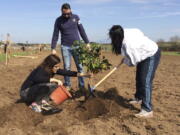 Farmer Rossella Paolini, left, plants a lemon tree March 12 with her relatives in their plot of land in Tor Tre Teste neighborhood in Rome.