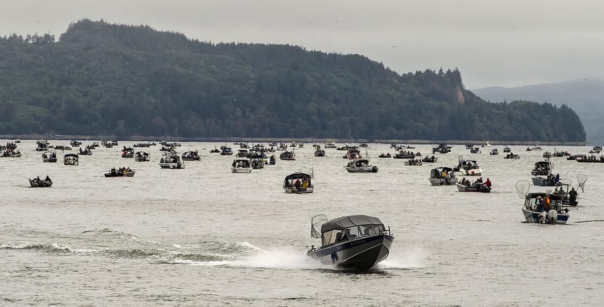 The Washington side of the Columbia, just upstream from the Megler-Astoria Bridge, can be a popular spot during the Buoy 10 salmon season.