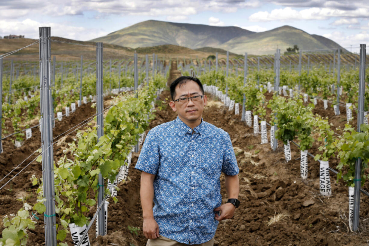 Darren Chin, project manager of Twelve Oaks, stands amid a vineyard on the 700-acre development, financed by Chinese investors. (Allen J.