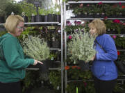 Kerilyn Jakubs, left, and Cherie Veys were two of hundreds of people out shopping for plants Saturday at the 26th annual Home and Garden Idea Fair at the Clark County Event Center at the Fairgrounds.