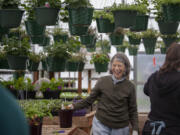 Volunteer Judy Karch laughs with friends while preparing for the upcoming plant sale at 78th Street Heritage Farm. Hanging baskets are one of the sale&#039;s more popular items.