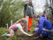 Girls Scouts Adrionna McClellan, 9, left, and her friend Kennedy Kambeitz, right, plant a tree at the Clark Public Utilities annual StreamTeam Earth Fest in honor of Earth Day Saturday. The event was one of several volunteer projects across Clark County where people planted trees, pulled invasive species or picked up trash.