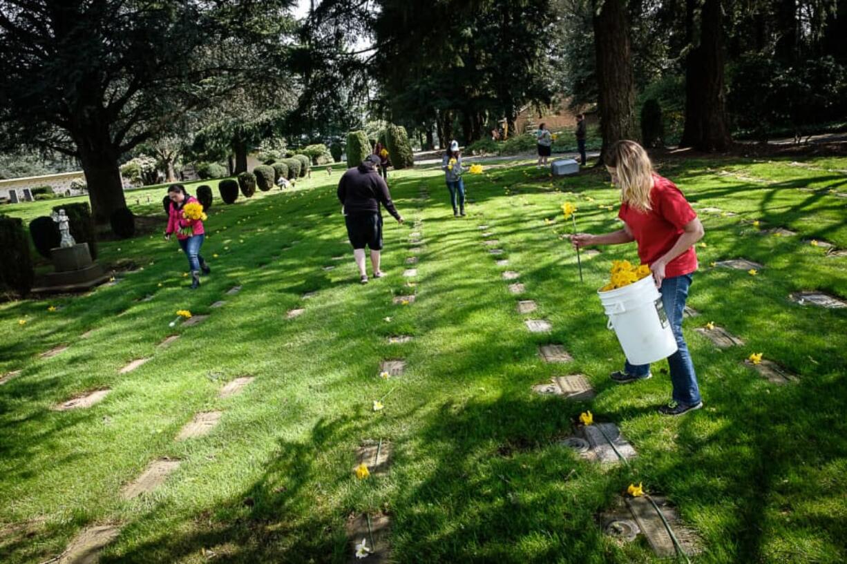 A group of volunteers lay daffodils on graves Sunday at Evergreen Memorial Gardens.