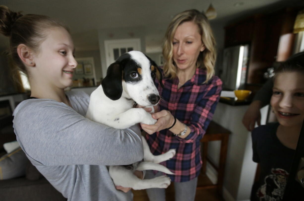 Morgan Fredette, 13, from left, holds Roscoe as her mother Kate and brother Lucas, 11, play.