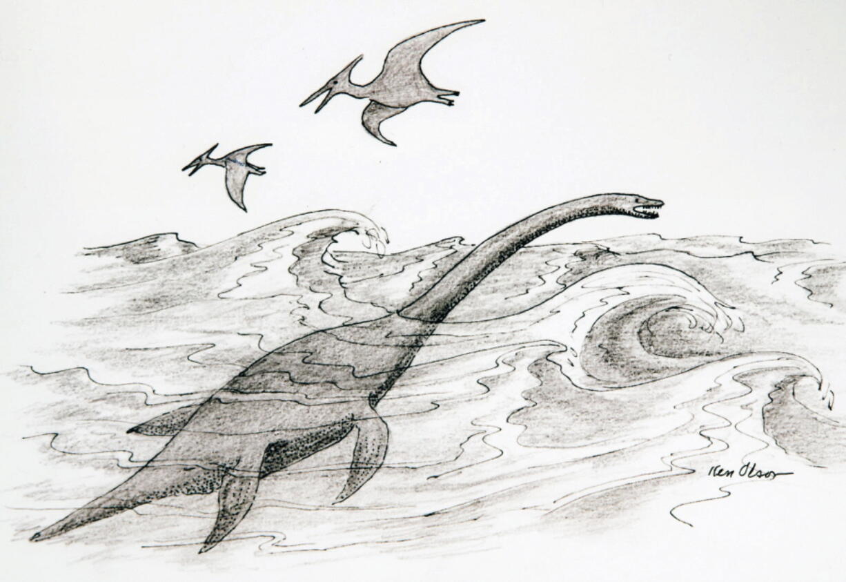 A drawing of the plesiosaur, a marine reptile.