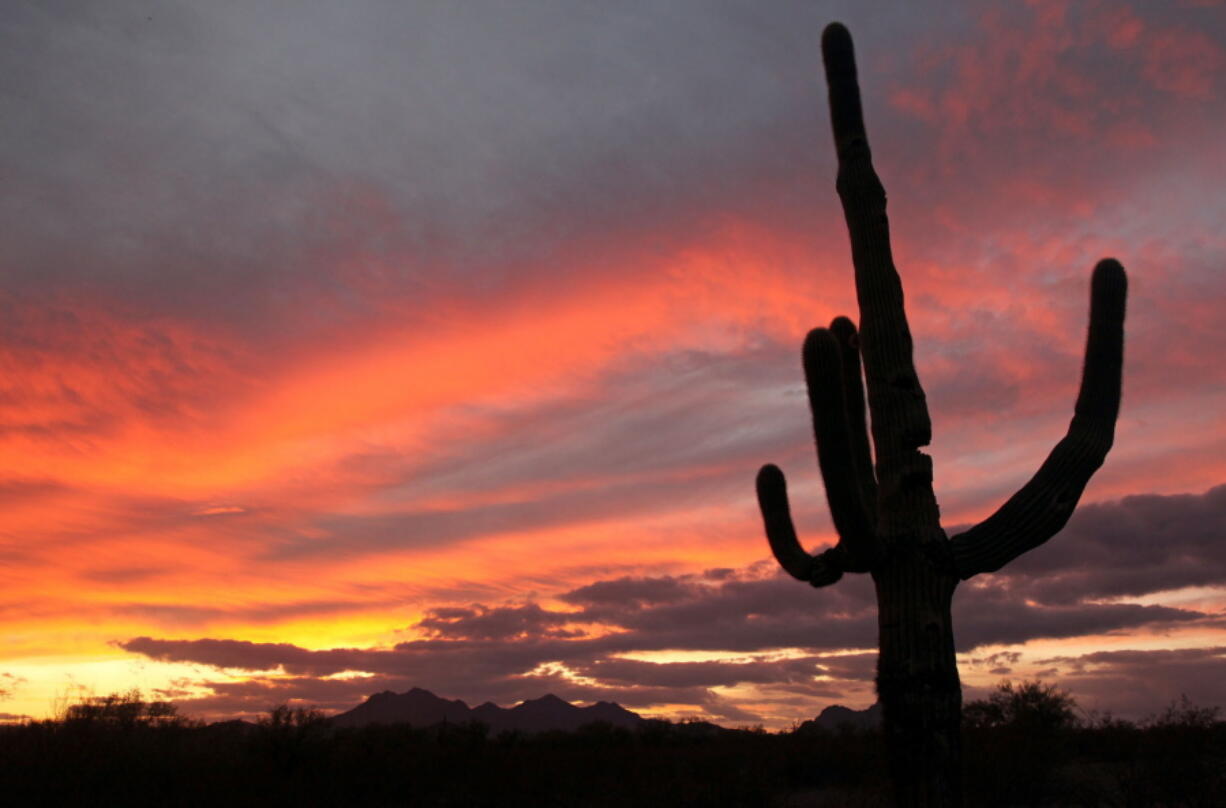 A cactus is seen against a backdrop of colorful clouds in Ironwood Forest National Monument in December 2009 in Marana, Ariz. President Donald Trump signed an executive order Wednesday directing his interior secretary to review the designation of dozens of national monuments on federal lands, as he singled out &quot;a massive federal land grab&quot; by the Obama administration.