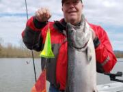 Scott Dunbar of Vancouver with a spring chinook caught on a cut-plug herring trolled 36 inches behind a double Fish Flash.