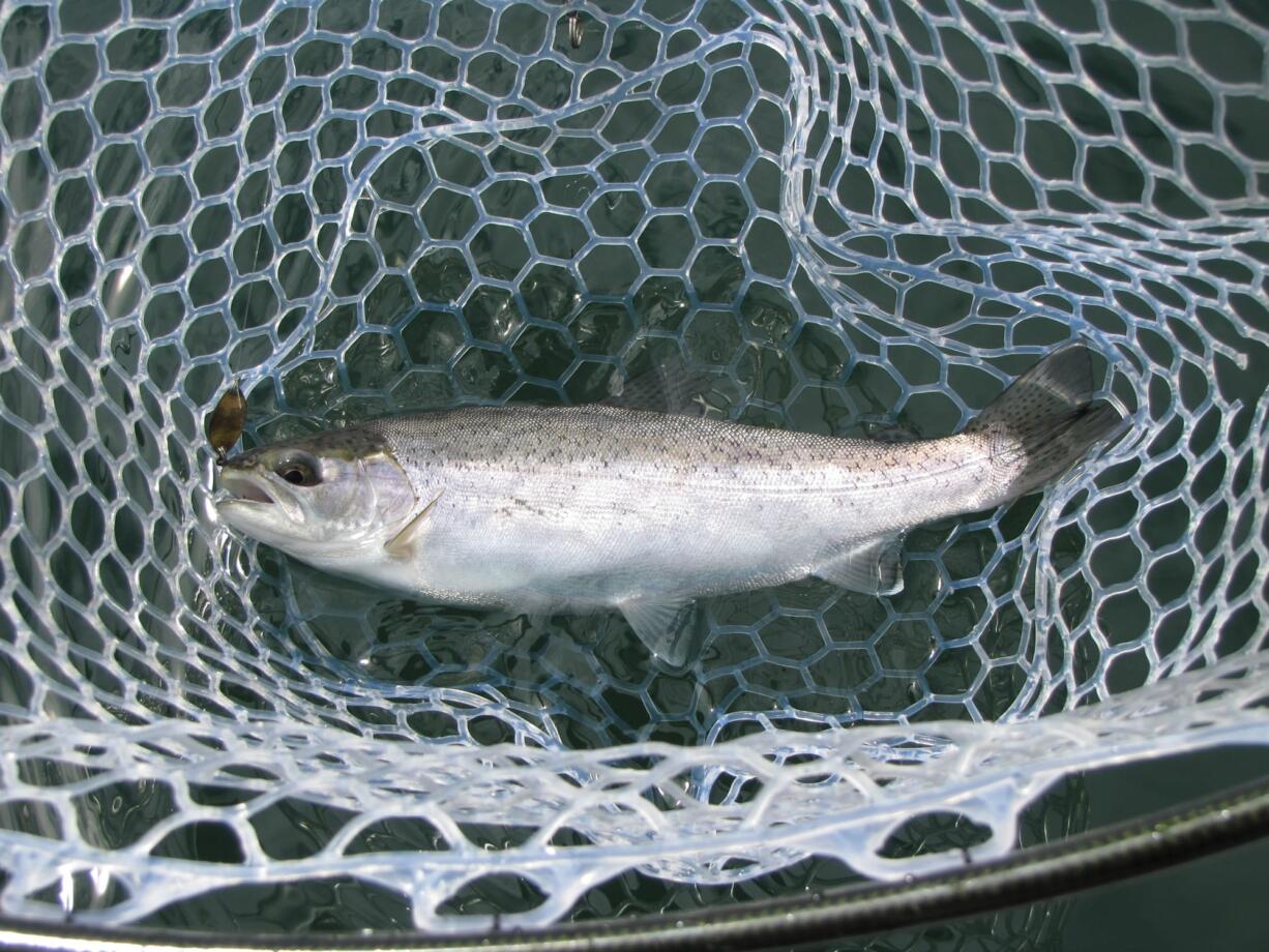 Coldwater Lake contains lots of trout, but has a one-fish limit and a 16-inch minimum-size requirement.