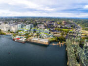 Renderings of Terminal 1 show Port of Vancouver’s master plan to build residential, retail and commercial space next to the Columbia River.