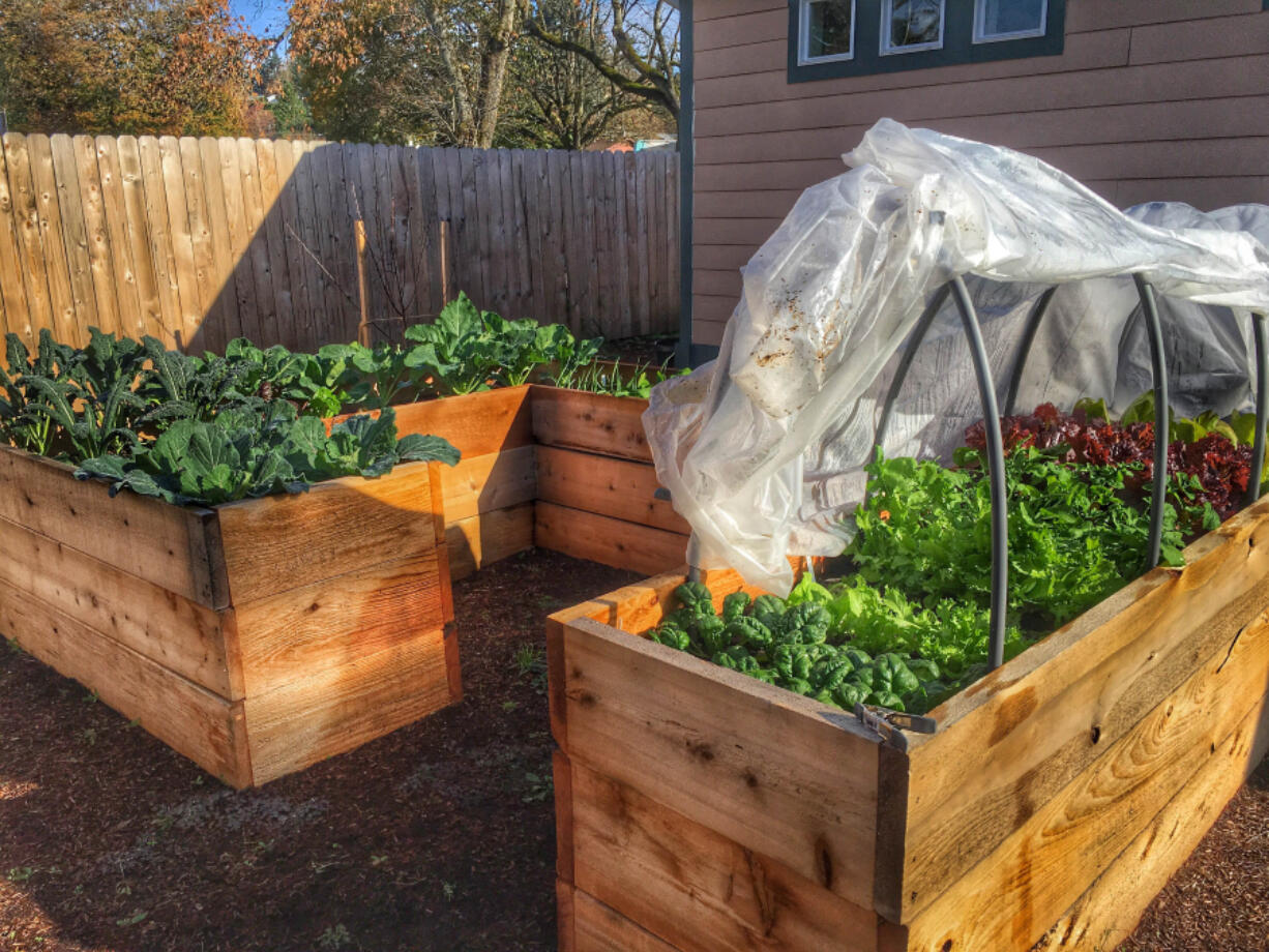 Raised beds were installed as part of one of the early workshop/work parties.