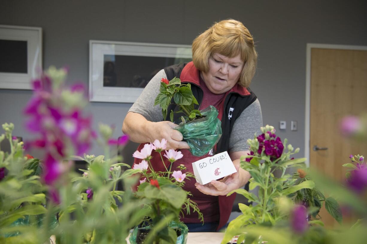 Margie Cummings, Washington State University alumna, prepares a flower arrangement for a Golden Grad, an individual who graduated from WSU 50 or more years ago, in the Dengerink Administration Building at WSUV, for the annual May Day flower delivery on Monday.