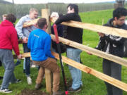 Meadow Homes: Fort Vancouver High School&#039;s Center for International Studies students participated locally in Global Service Day, working throughout Vancouver on various projects, including building a split-rail fence at the fort.