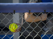 Clark College softball.