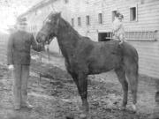 Something of a dog and pony show at Vancouver Barracks in a photograph taken around 1903.