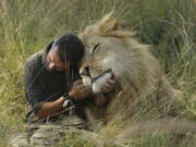 Kevin Richardson, popularly known as the “lion whisperer,” interacts with one of his lions while out for a walk in the Dinokeng Game Reserve, near Pretoria, South Africa. Richardson seeks to raise awareness about the plight of Africa’s lions, whose numbers in the wild have dwindled in past decades.