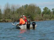 Anglers net a spring chinook in the Multnomah Channel of the Willamette River.