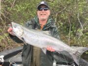 Paul Welle bounced eggs and shrimp in the Wind River to land this spring chinook salmon.