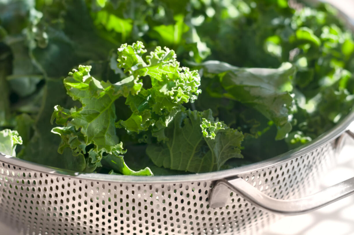 Fresh kale has crisp leaves with a bright color, but not yellow.