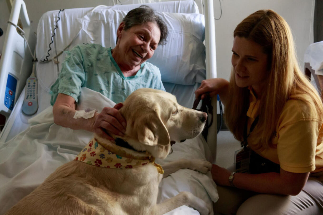 Overlake Medical Center patient Kathy Barnes talks with Karen Keenan and her therapy dog, Viansa, a 6-year-old yellow lab, in her hospital room in Bellevue.