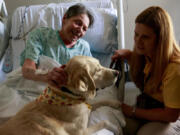 Overlake Medical Center patient Kathy Barnes talks with Karen Keenan and her therapy dog, Viansa, a 6-year-old yellow lab, in her hospital room in Bellevue.