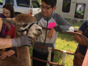 East Vancouver: Burton Elementary School fifth-graders took a field trip to the 78th Street Heritage Farm to learn about agriculture’s impact on their every day life at an event co-hosted by Washington State University Extension’s Supplemental Nutrition Assistance Program Education and 4-H Youth Development.