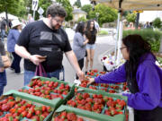 Greg Landweber, left, buys strawberries from Mai Yang at the farmers market in Vancouver Sunday. Lingering cold weather and rainfall into spring meant a later crop for many regional strawberry growers.