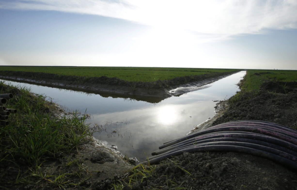 Water flows through an irrigation canal to crops near Lemoore, Calif. Gov. Jerry Brown won crucial early approval from federal wildlife officials Monday for his $16 billion proposal to re-engineer California’s north-south water system, advancing his plan to build two giant tunnels to carry Northern California water to the south even though much about the project remains undetermined.