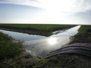 Water flows through an irrigation canal to crops near Lemoore, Calif.