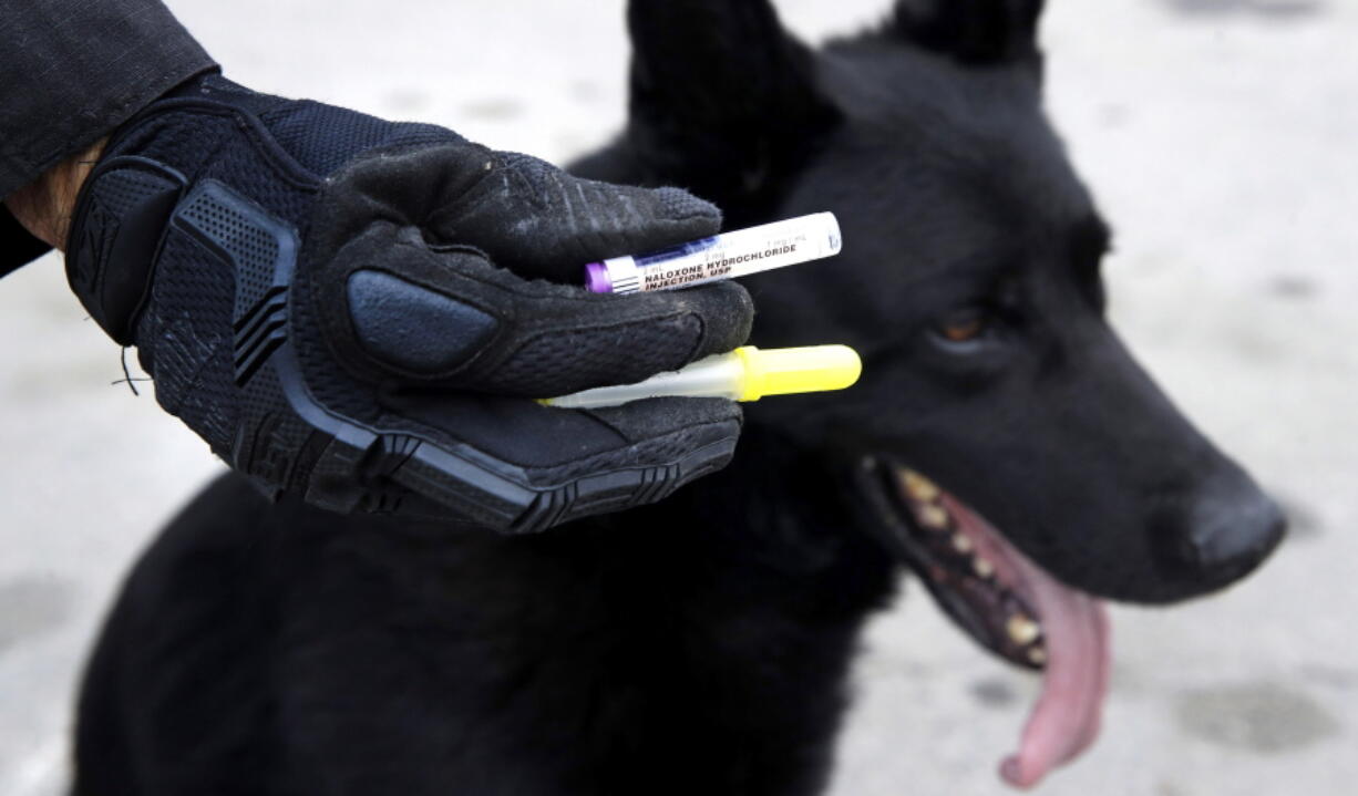 Massachusetts State Police Trooper Brian Cooper displays a dosage of Naloxone during a training session with his K-9 Drako in Revere, Mass.