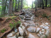 An early stretch of Hunt Trail, a 5.2-mile route up Mount Katahdin in Baxter State Park in Maine is seen in 2014. The woodlands trail gives way to an extremely steep and rocky ascent above the mountain’s treeline.