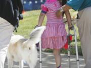 Tessa Puma, 6, works with physical therapy assistant Turranna Rice, right, and Doggie Brigade member Grace, with her handler Chris Witschey, left, as they walk around the park in front of Akron Children’s Hospital on June 20, 2017, in Akron, Ohio. Tessa often works with therapy animals at the hospital, including Grace, who is also an amputee.