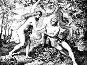 Adam and Eve eat the forbidden fruit.