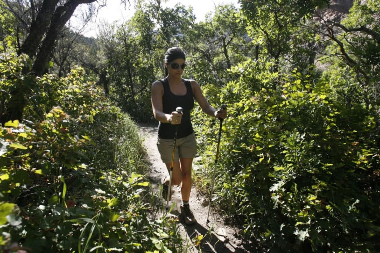 Trekking poles make hiking a better work out by bringing the upper body into it. They reduce shock and injury to knees when descending steep slopes.