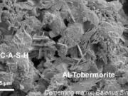 Crystals of aluminous tobermorite growing within the Roman concrete.