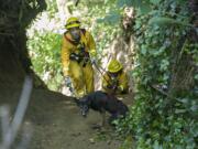 Camas-Washougal Fire Department officers Dane Hammond, front, and James Tierney help rescue a dog that was trapped down a steep canyon in Camas since at least Wednesday morning.