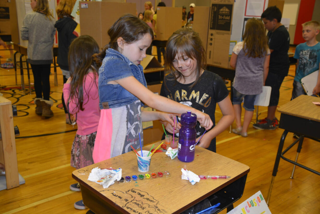 Washougal: Chloe Elliott, left, and Hannah Mancini at the Hathaway Elementary School’s Fifth Grade Science Fair.