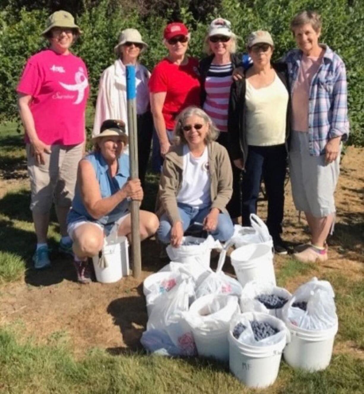 Battle Ground: Members of the Battle Ground chapter of General Federation of Women’s Clubs picked blueberries for the third straight year and donated them to the North County Community Food Bank. Back row from left: Johanna Hyatt, Lois Simmons, Mary Lee Miller, Paulette Stinson, Bonnie Rippengale and Karen Rice. Front row from left: Marla Polos and Valerie Huey.