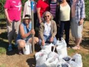 Battle Ground: Members of the Battle Ground chapter of General Federation of Women’s Clubs picked blueberries for the third straight year and donated them to the North County Community Food Bank. Back row from left: Johanna Hyatt, Lois Simmons, Mary Lee Miller, Paulette Stinson, Bonnie Rippengale and Karen Rice. Front row from left: Marla Polos and Valerie Huey.