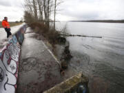 WSDOT spokesman Bart Treece visits the dead end of Lower River Road in early 2016 to examine ongoing erosion. This road segment is now permanently closed to public use; even if the area becomes a wildlife sanctuary, officials don’t want public bike or pedestrian paths going through it.