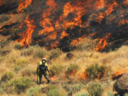 Crews work to protect a home site as they battle a wildfire along Pyramid Highway, Wednesday, July 5, 2017, near Reno, Nev. A day after beating back flames to prevent damage to dozens of rural homes, fire officials on Wednesday advised more residents to evacuate with their animals ahead of one of several blazes sweeping across hot, dry northern Nevada rangelands.