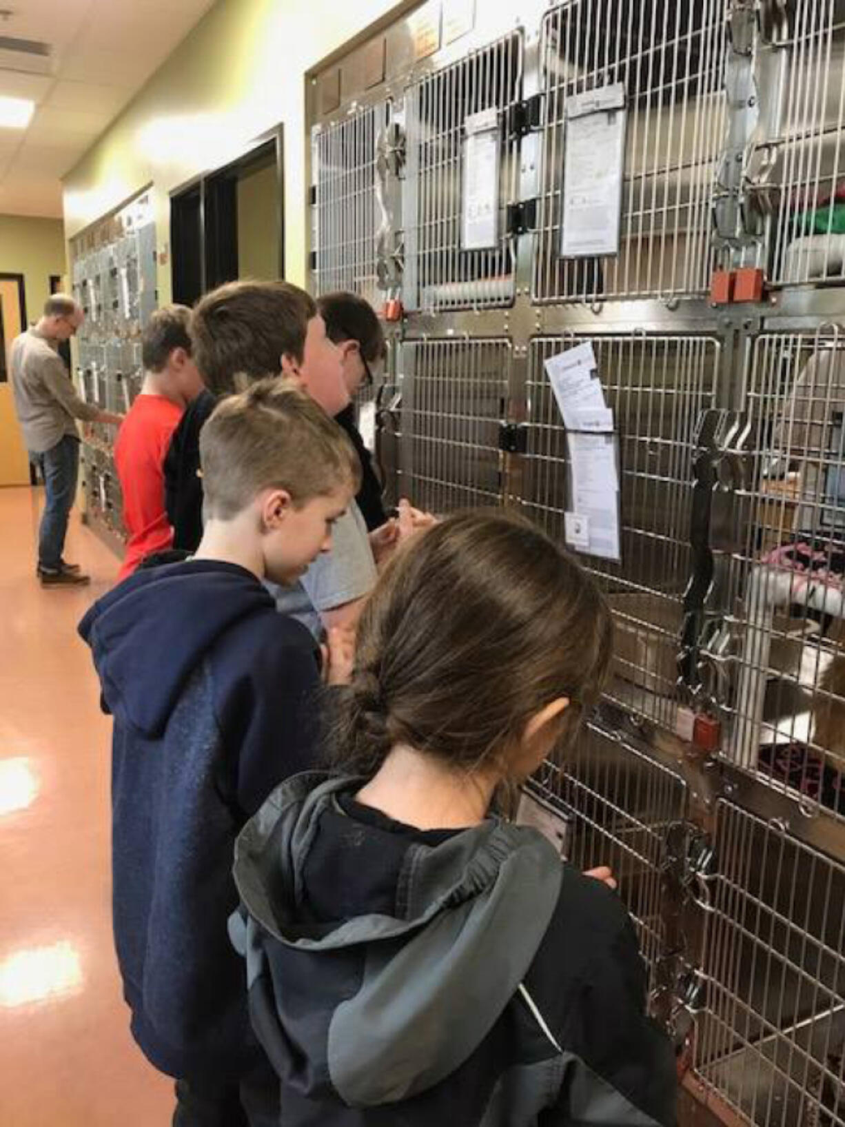 East Vancouver: Students at Crestline Elementary School collected box tops and traded them with Box Tops for Education, and donated $500 to the Humane Society of Southwest Washington.