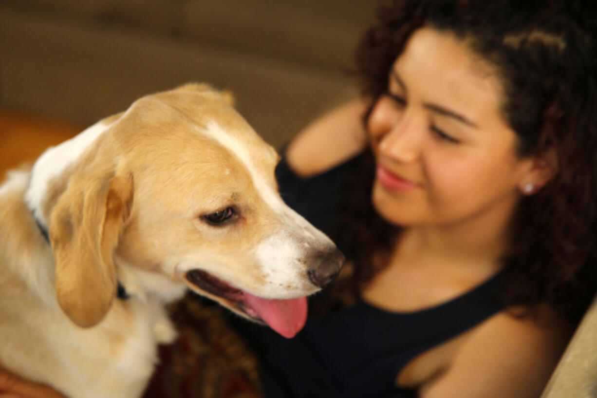 Neydi Romero of Bedford, Texas, plays with her dog Teddy, a lab/beagle mix.