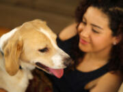 Neydi Romero of Bedford, Texas, plays with her dog Teddy, a lab/beagle mix.