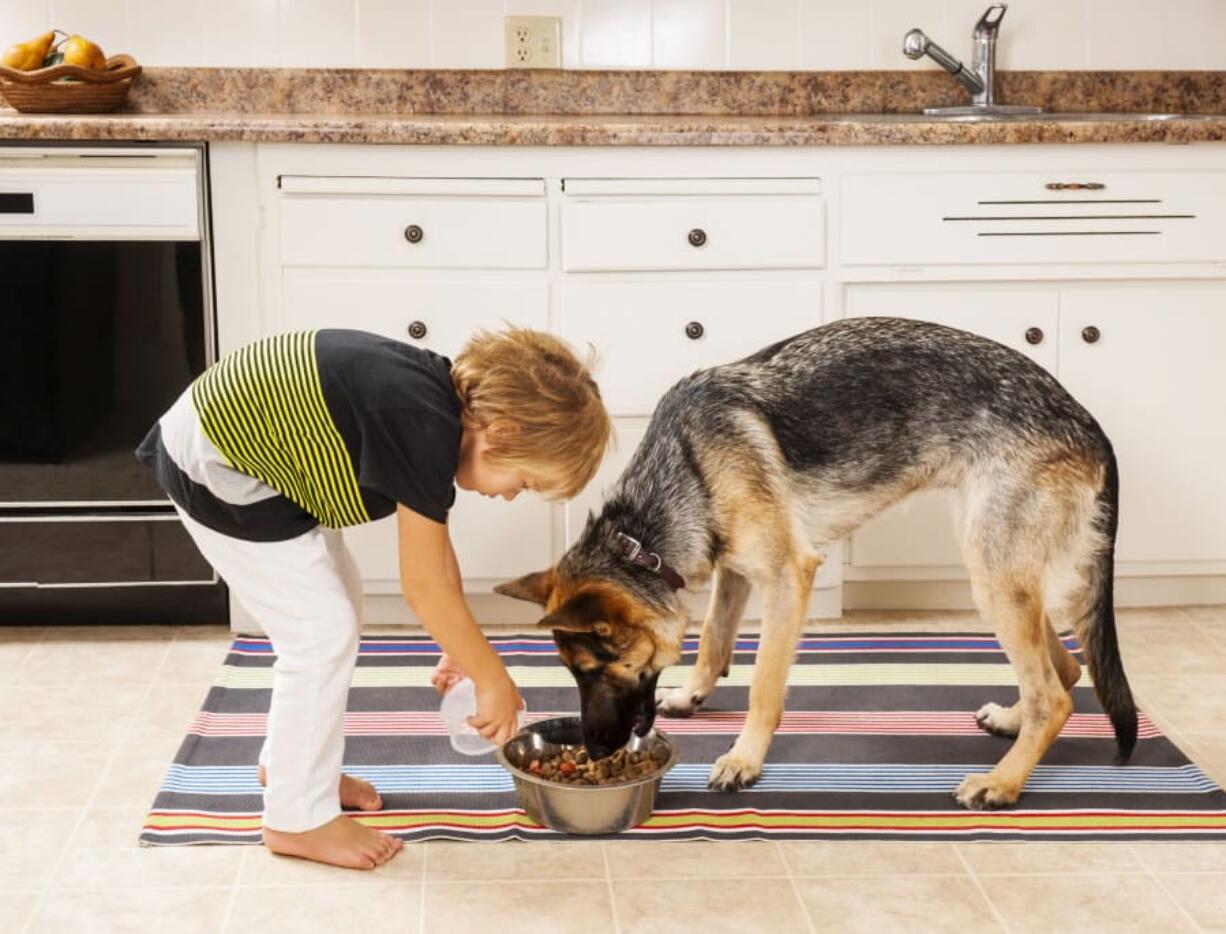 There is no data to support the idea that grain-free pet food is actually better for your furry friend.