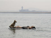 Marina Vanegas of Vancouver floats in the Columbia River at Wintler Park with her dog, Onyx, on Thursday afternoon with Portland International Airport in the background. The day’s high temperature of 105 degrees set a record for Aug. 3 in Vancouver. “This is like heaven for me,” the former Arizona resident said.