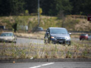 Grass and weeds grow through the cracks and along the edges of the gore on the southbound Interstate 5 Fourth Plain Boulevard exit in Vancouver. Readers wanted to know who owns and who is responsible for vegetated medians and public spaces around roads.