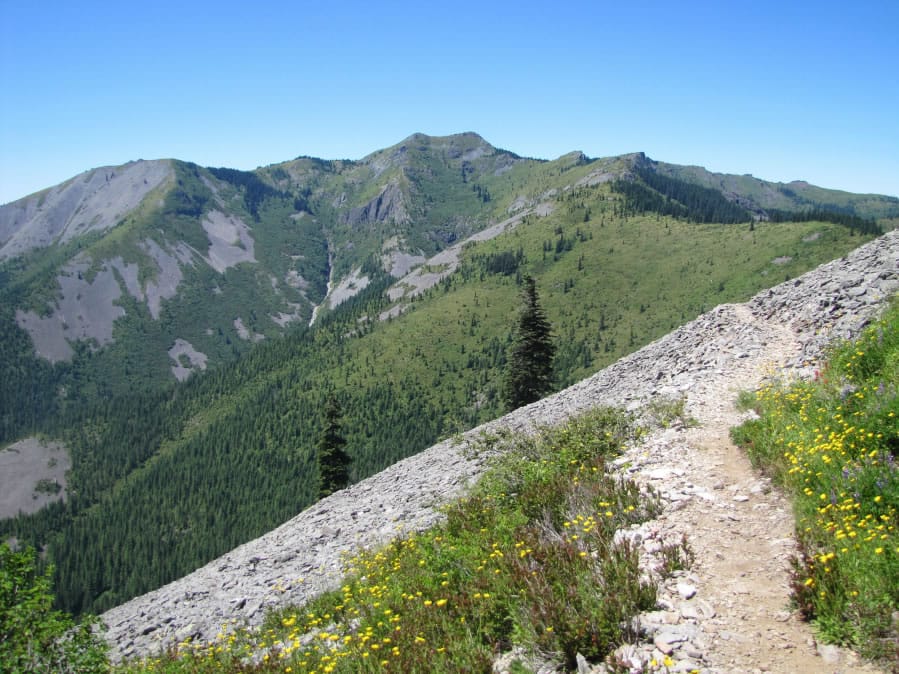 Hiking the Pacific Crest Trail around Mount Adams on the Gifford