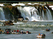 FILE- In this undated file photo, fisherman jockey for position at the base of Willamette Falls on the Willamette River in Oregon City, Ore. Oregon state officials warned Monday, Aug. 7, 2017, that if California sea lions continue feeding below Willamette Falls, they could push winter steelhead trout to the brink of extinction.