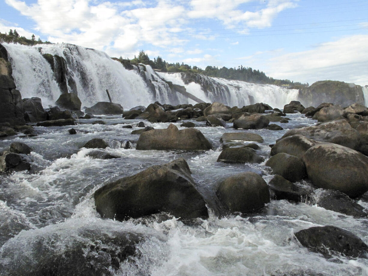 FILE--In this June 17, 2016, file photo, Willamette Falls is shown in Oregon City, Ore. Oregon state officials warned Monday, Aug. 7, 2017, that if California sea lions continue feeding below Willamette Falls, they could push winter steelhead trout to the brink of extinction.